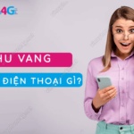 hu vang la so dien thoai gi