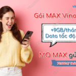 goi cuoc max vinaphone