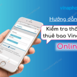 kiem tra thong tin thue bao vinaphone