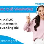 cach huy nhac cho vinaphone