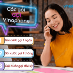 goi cuoc goi vinaphone