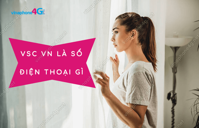 vsc vn la so dien thoai gi