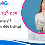 029 la mang gi