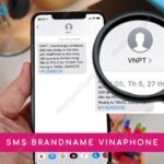 sms brandname vinaphone