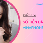 cach kiem tra so tien da ung vina