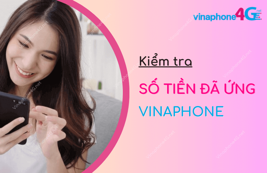 cach kiem tra so tien da ung vina