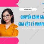 cach chuyen esim vinaphone sang sim vat ly