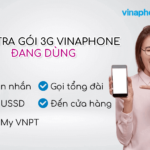 kiem tra goi cuoc 3g vianphone dang su dung