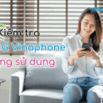 kiem tra goi cuoc vinaphone dang su dung