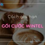 cach gia han goi cuoc wintel