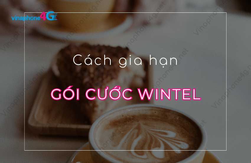 cach gia han goi cuoc wintel