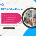 dang ky goi cuoc tiktok vinaphone