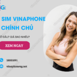 mua sim vinaphone chinh chu o dau