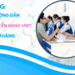 dong tien mang vnpt 6 thang