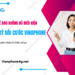 thue bao khong du dieu kien dang ky goi cuoc 4g vinaphone