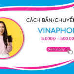 chuyen tien vinaphone