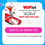 wintel la nha mang gi