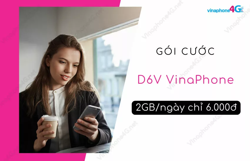 goi d6v vinaphone la goi cuoc gi?