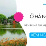 o ha noi nen dung sim mang nao