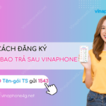 dang ky 4g vina tra sau