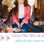 cach tim ten va dia chi bang so dien thoai vinaphone