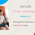 goi cuoc yt30 vinaphone