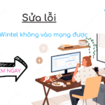 esim wintel khong vao mang duoc la tai sao?