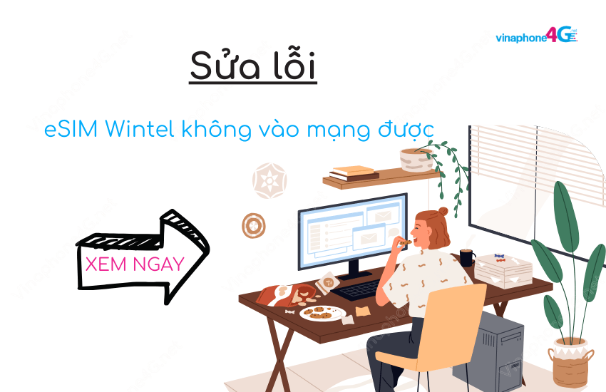 esim wintel khong vao mang duoc la tai sao?