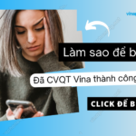 kiem tra da chuyen vung quoc te vinaphone chua