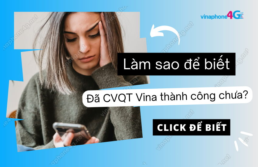 kiem tra da chuyen vung quoc te vinaphone chua